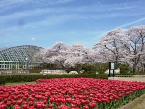 Kyoto Botanical Gardens, Japan