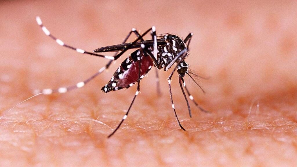 Zika Virus in Kerala