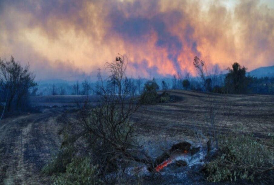 Wildfires in Southern Turkey A Huge Damage To Nature