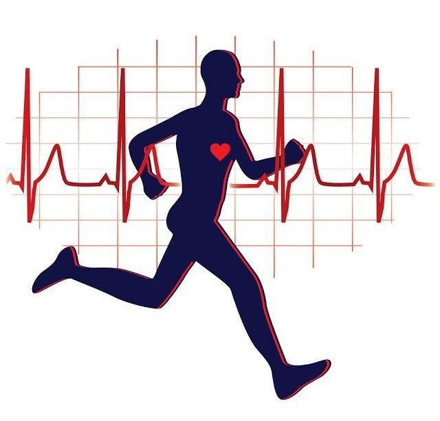 What Is Cardiovascular Exercise Definition