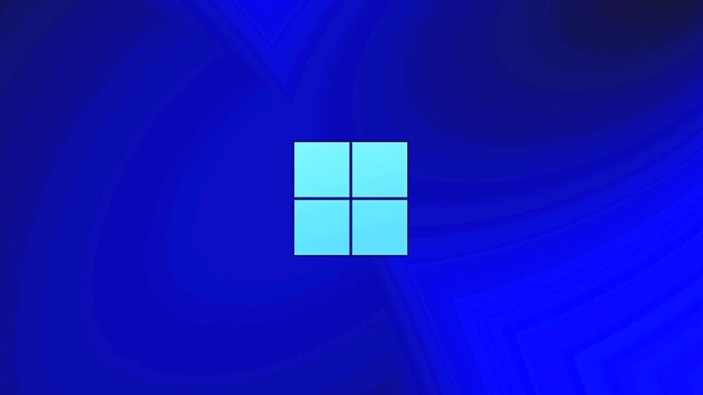 MS Windows store