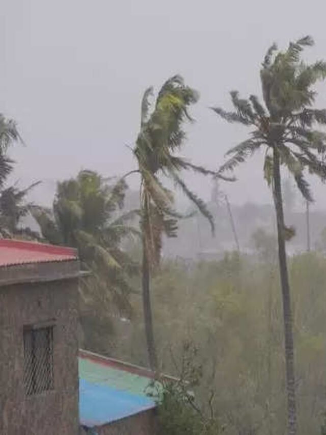 Weather Update IMD Anticipates Cyclone Biparjoy to Gain Intensity over the Next 36 Hours